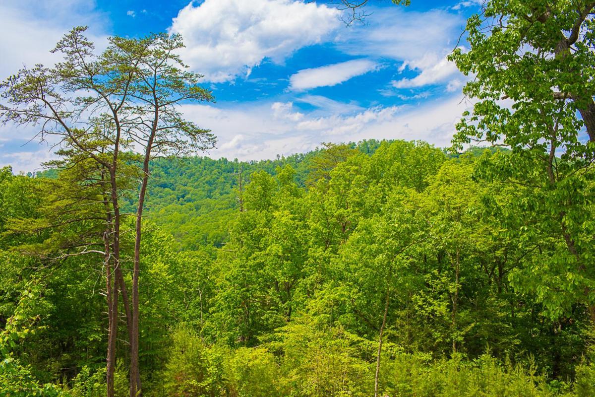 Nature'S Paradise Sevierville Extérieur photo